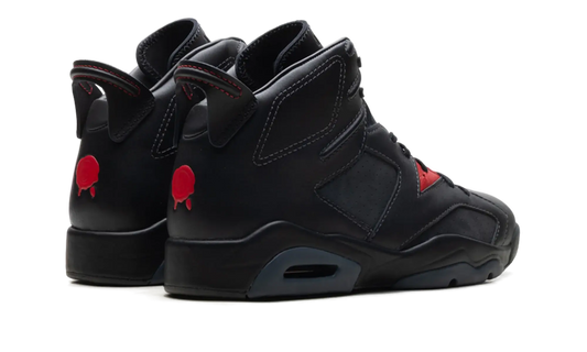 Air Jordan Air Jordan 6 Retro PRM Bin23