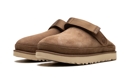 UGG Goldenstar Clog Chestnut (Women's)