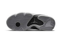 air-jordan-14-low-metallic-silver-aplug-pl