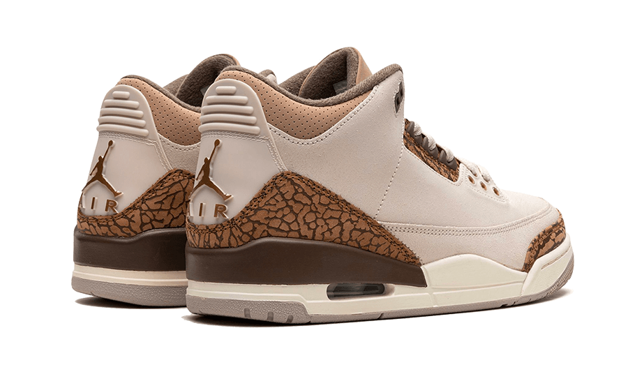 air-jordan-3-palomino-aplug-pl