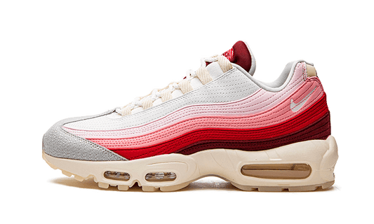 air-max-95-anatomy-of-air-aplug-pl