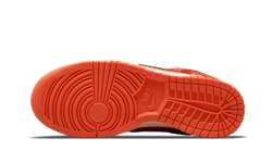 dunk-low-winter-solstice-aplug-pl