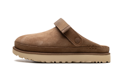 UGG Goldenstar Clog Chestnut (Women's)