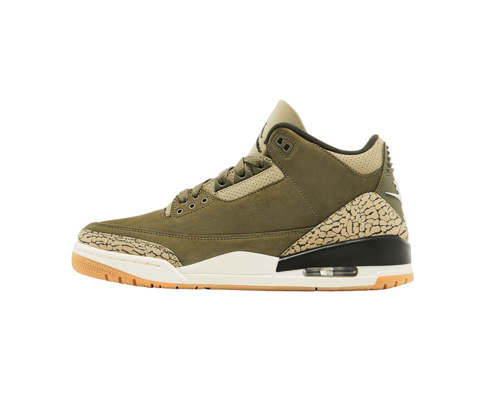 Jordan 3 Retro Family Affair