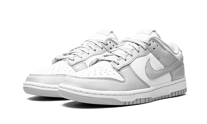 Dunk Low Grey Fog - DD1391-103