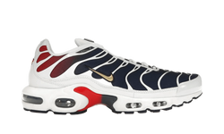 Air Max Plus PSG - FZ4776-100