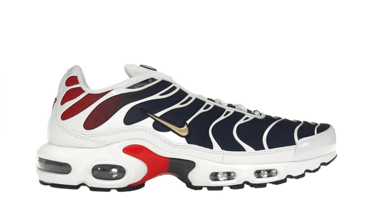 Air Max Plus PSG - FZ4776-100