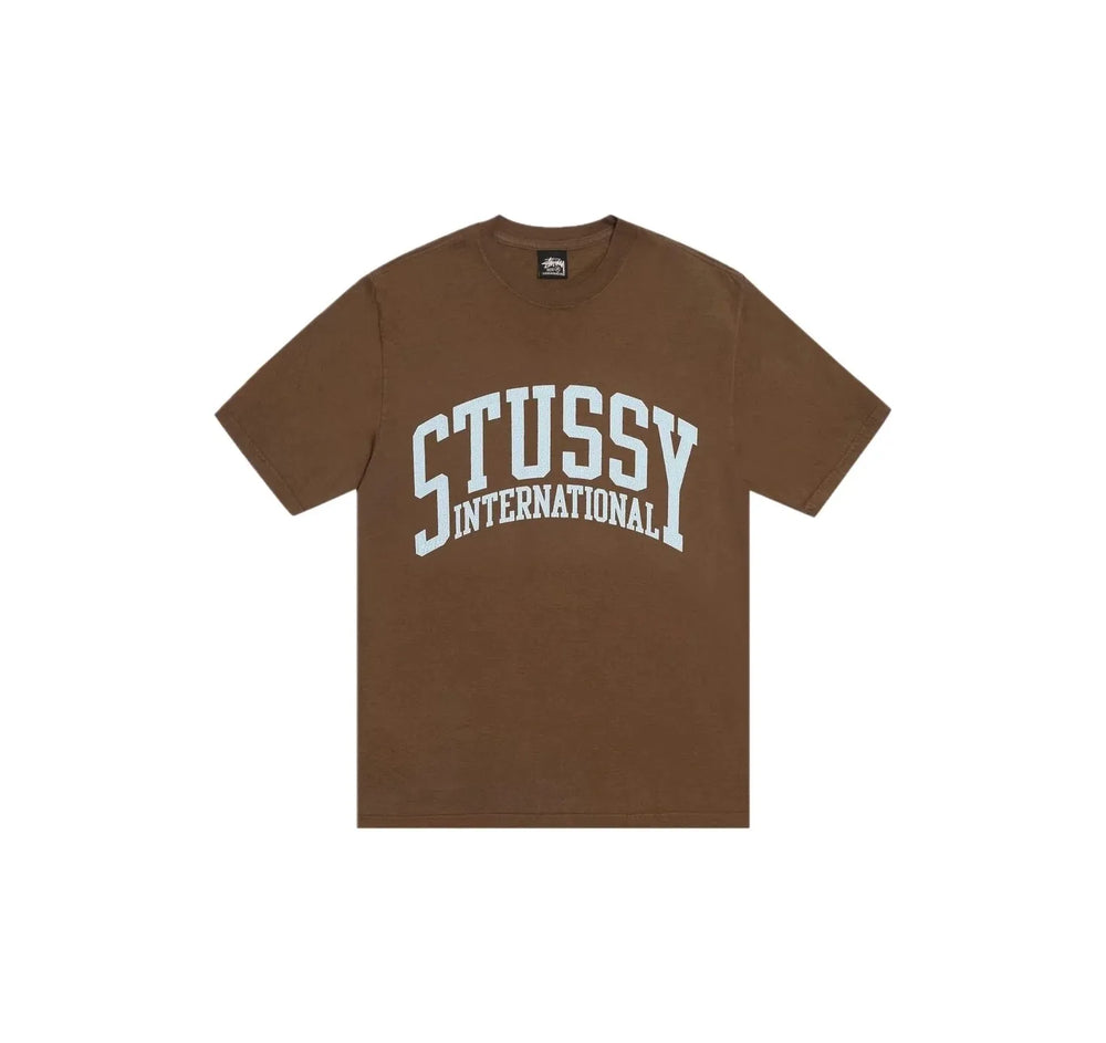 Stussy Arc International Pig Dyed Tee Brown