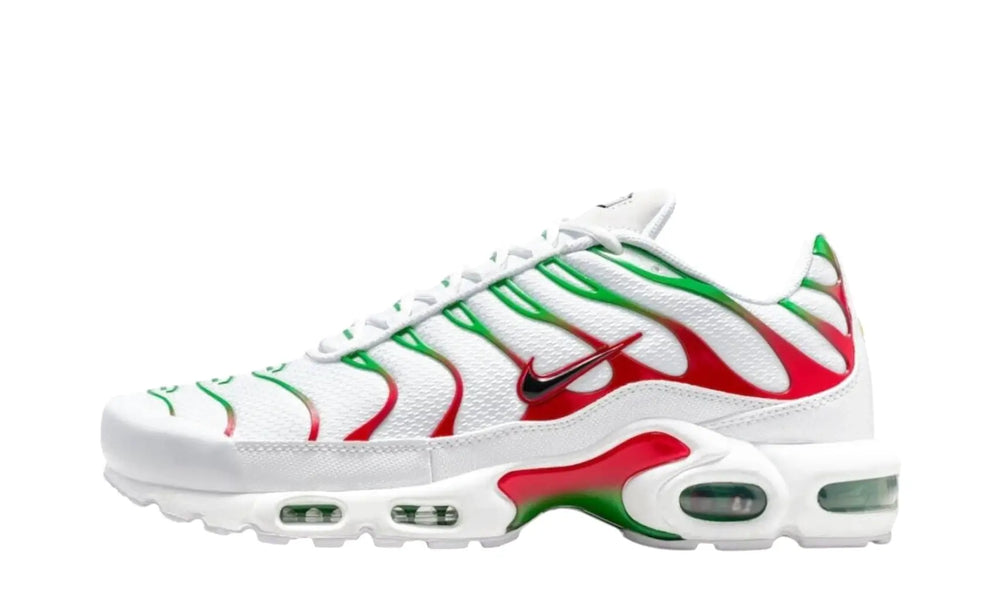 Nike Air Max Plus Italy