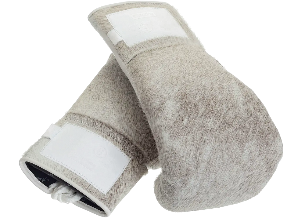 Supreme Supreme MM6 Maison Margiela Everlast 1910 Pro Boxing Glove (Set of 2) Multicolor