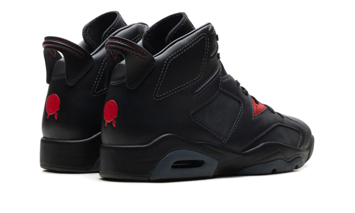 Air Jordan Air Jordan 6 Retro PRM Bin23