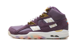 Nike Nike Air Trainer SC High Atlanta Olympics 30th Anniversary
