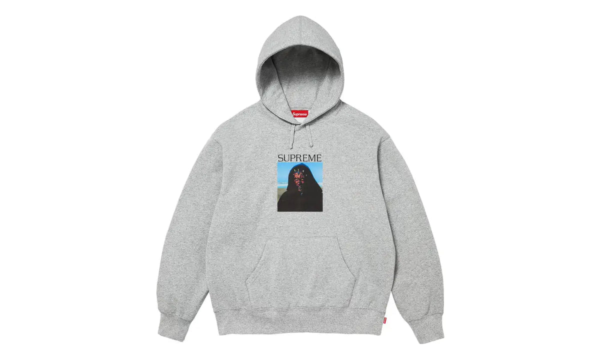 Supreme Supreme Sith Hooded Sweatshirt Grey