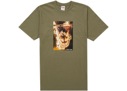 Supreme Spitfire Flag Tee Olive