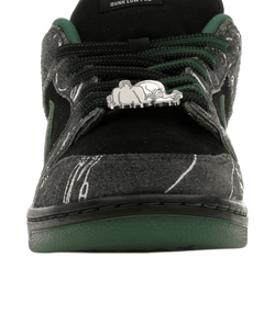 SB Dunk Low There Skateboards - HF7743-001