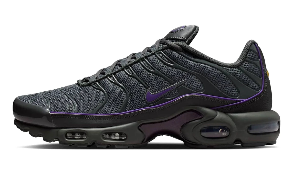 Nike Nike Air Max Plus OG Iron Grey Wild Grape
