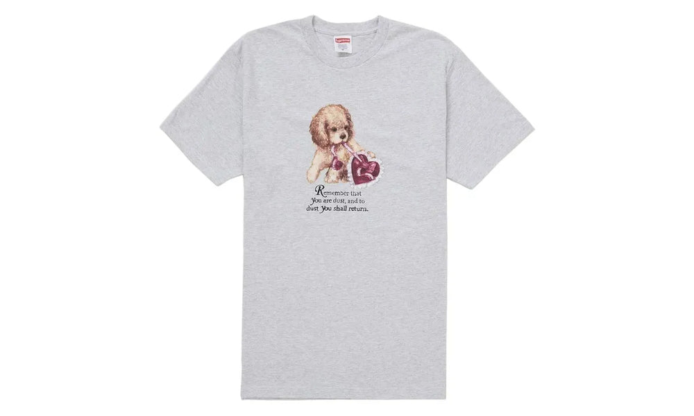 Supreme Dust Tee Ash Grey