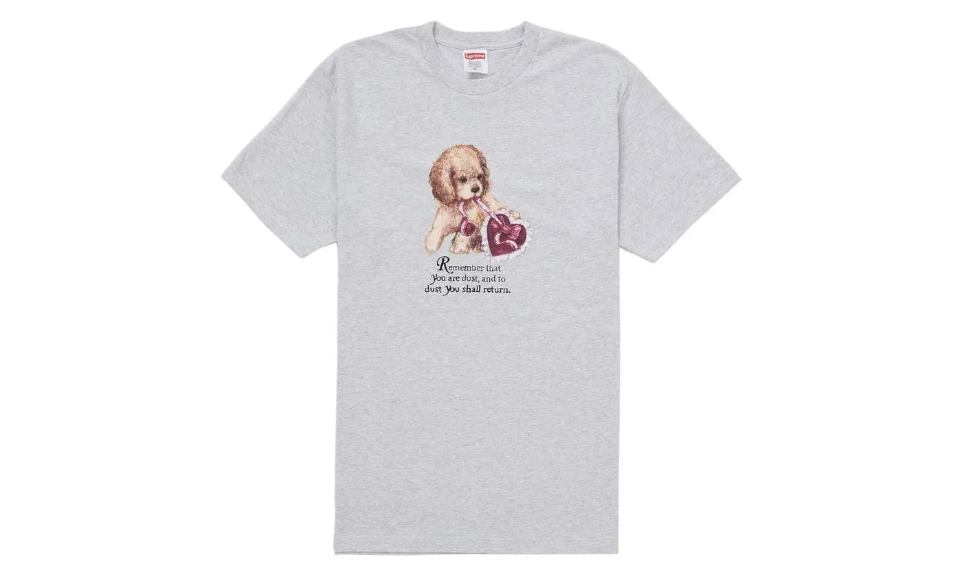 Supreme Dust Tee Ash Grey