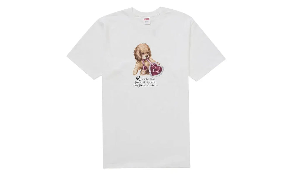 Supreme Dust Tee White