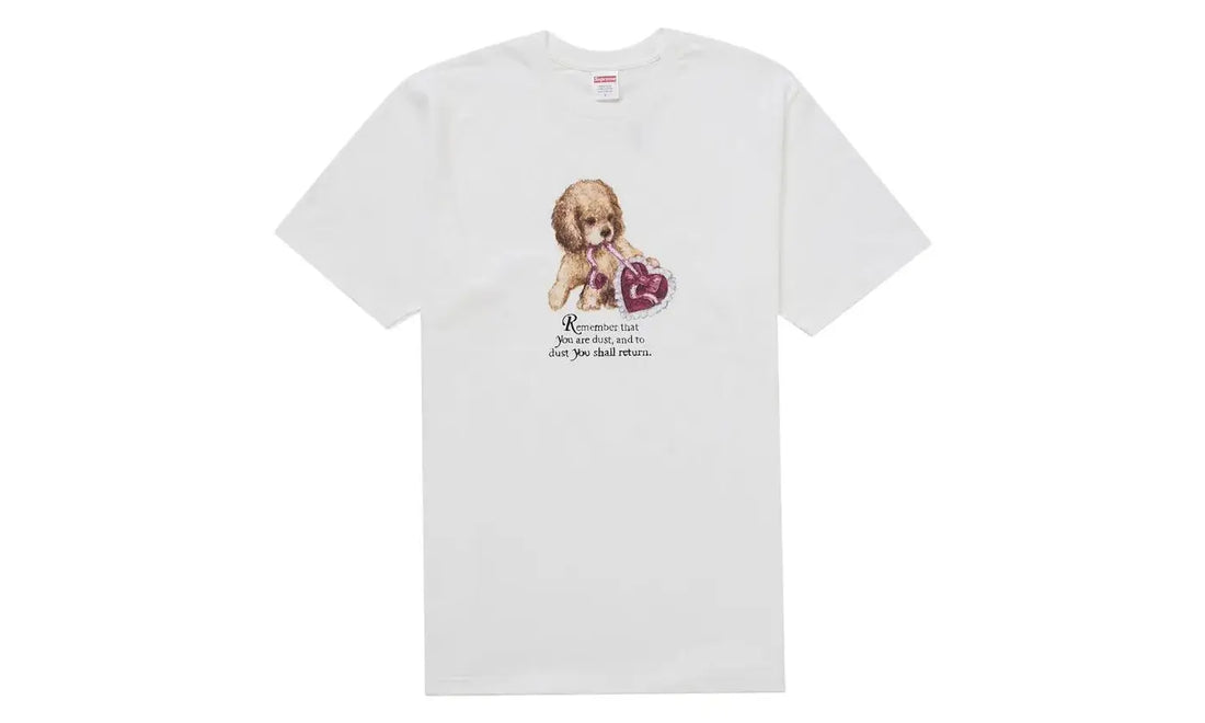 Supreme Supreme Dust Tee White (SUPR-SUDUTWXX-MULTI) - APLUG.PL