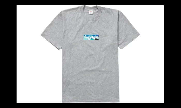 Supreme Supreme Emilio Pucci Box Logo Tee Grey Blue - SUP-EMPUBLT-GBLUE