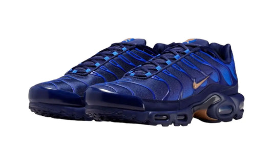 Nike Nike Air Max Plus French Football Federation