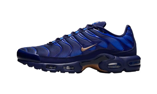 Nike Nike Air Max Plus French Football Federation