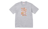 Supreme Supreme Pills Tee (FW26) Heather Grey