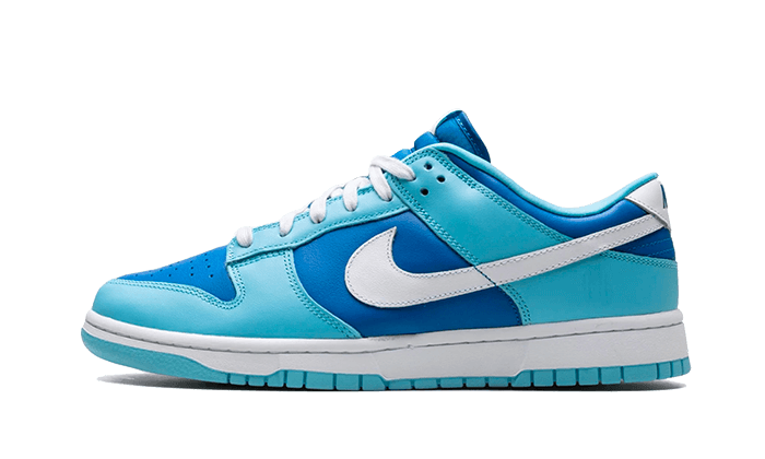 dunk-low-argon-runstock