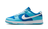 Nike Dunk Low Argon - Aplug