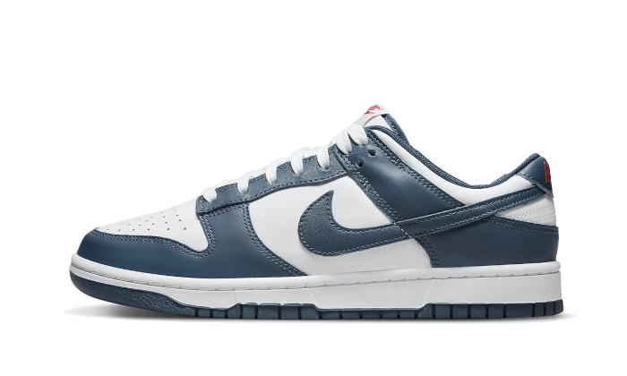 dunk-low-valerian-blue-runstock