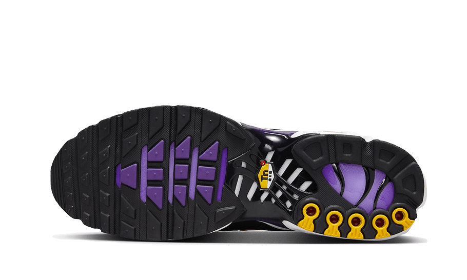 Nike Air Max Plus Voltage Purple - CD0609-024 / DX0755-500