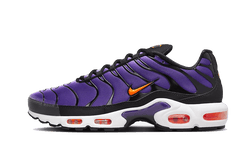 Nike Air Max Plus Voltage Purple - CD0609-024 / DX0755-500