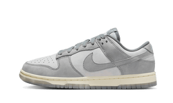 Nike Dunk Low Cool Grey Football Grey - FV1167-001