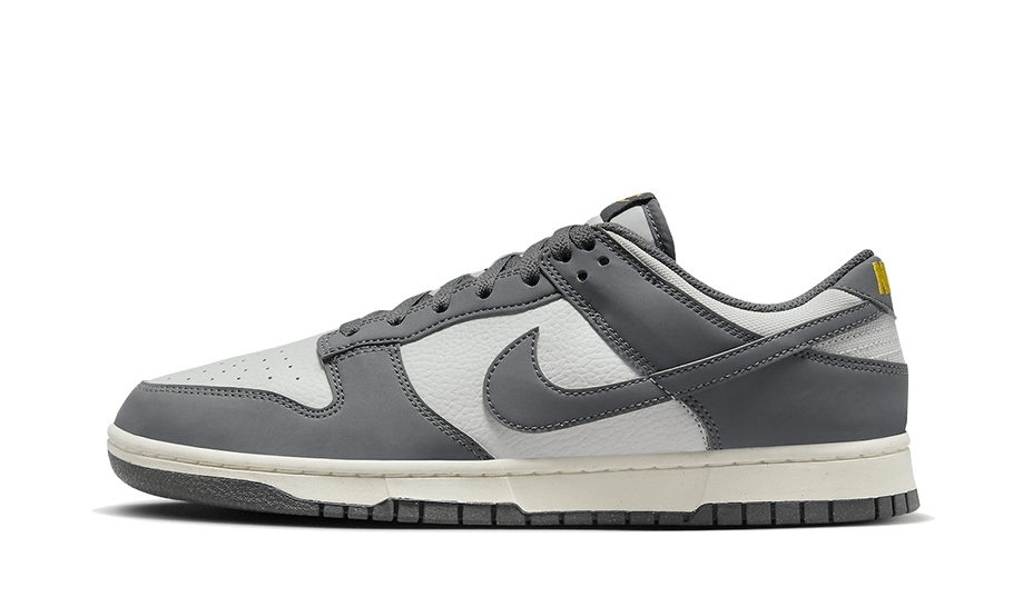 Nike Dunk Low Next Nature Iron Grey Lightning - FZ4621-001