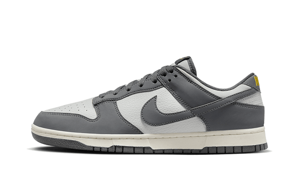 Nike Dunk Low Next Nature Iron Grey Lightning - FZ4621-001