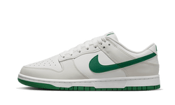 Nike Dunk Low Retro Summit White Malachite - DV0831-107