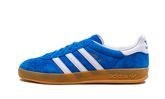 gazelle-indoor-blue-bird-gum-aplug-pl