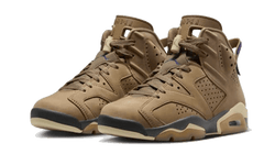 air-jordan-6-retro-gore-tex-brown-kelp-aplug-pl