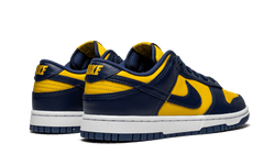 dunk-low-michigan-aplug-pl