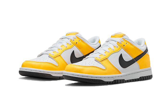 dunk-low-next-nature-citron-pulse-aplug-pl