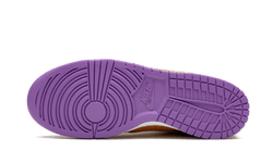 dunk-low-viotech-aplug-pl