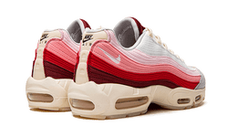 air-max-95-anatomy-of-air-aplug-pl