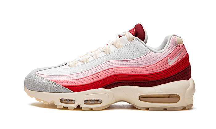 air-max-95-anatomy-of-air-aplug-pl