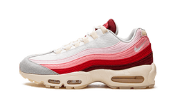 air-max-95-anatomy-of-air-aplug-pl