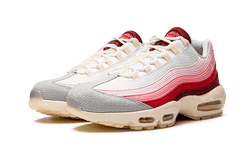 air-max-95-anatomy-of-air-aplug-pl