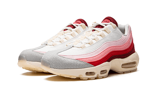 air-max-95-anatomy-of-air-aplug-pl