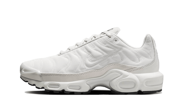 Nike Air Max Plus Reflective Platinum - FZ4342-001