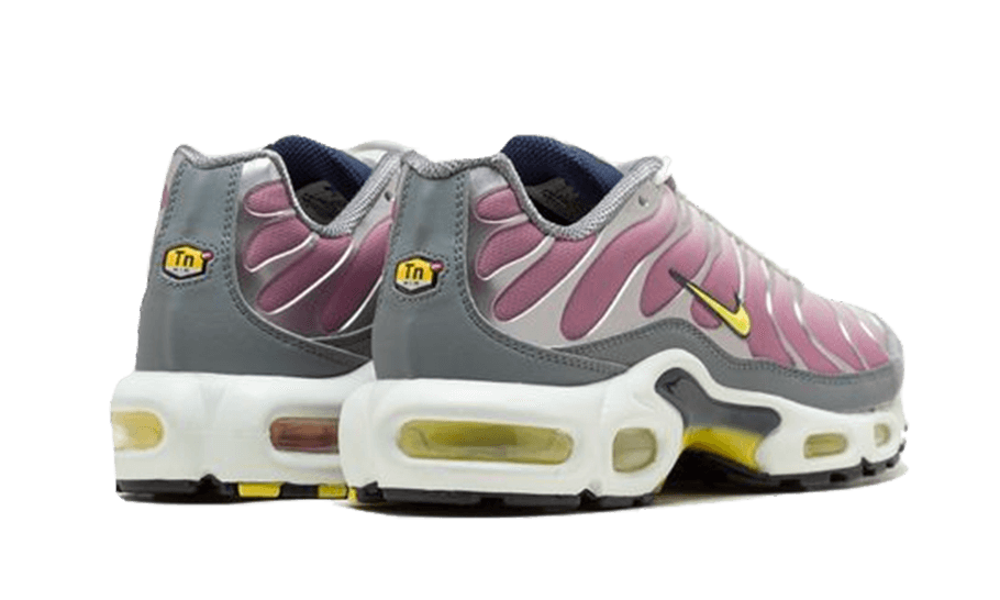 air-max-plus-violet-dust-aplug-pl