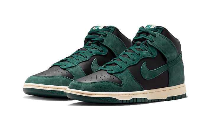 dunk-high-retro-prm-faded-spruce-aplug-pl